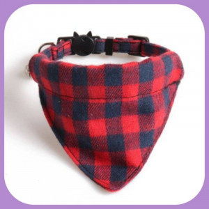 Collar-034